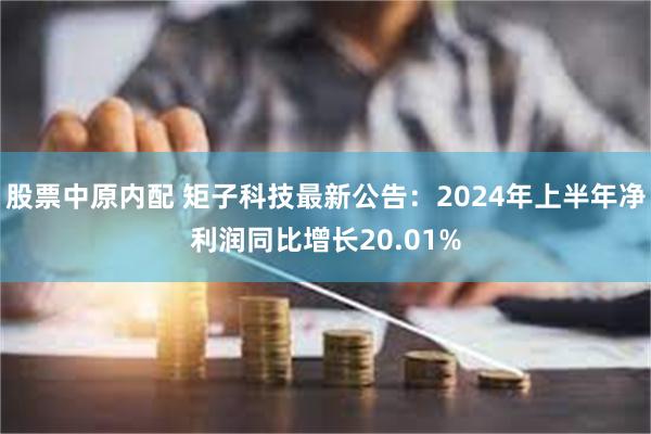 股票中原内配 矩子科技最新公告：2024年上半年净利润同比增长20.01%