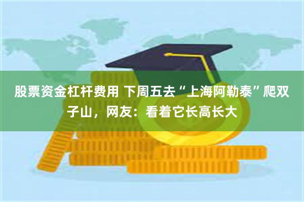 股票资金杠杆费用 下周五去“上海阿勒泰”爬双子山，网友：看着它长高长大