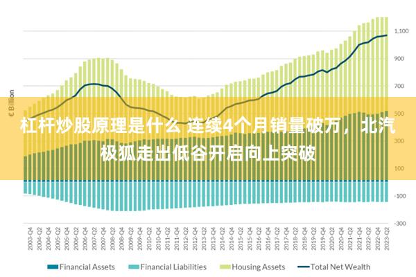 杠杆炒股原理是什么 连续4个月销量破万，北汽极狐走出低谷开启向上突破