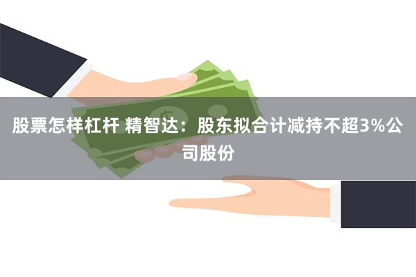 股票怎样杠杆 精智达：股东拟合计减持不超3%公司股份