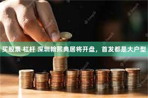 买股票 杠杆 深圳翰熙典居将开盘，首发都是大户型
