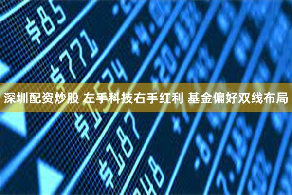 深圳配资炒股 左手科技右手红利 基金偏好双线布局