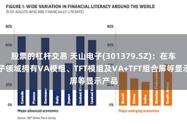股票的杠杆交易 天山电子(301379.SZ)：在车载电子领域拥有VA模组、TFT模组及VA+TFT组合屏等显示产品