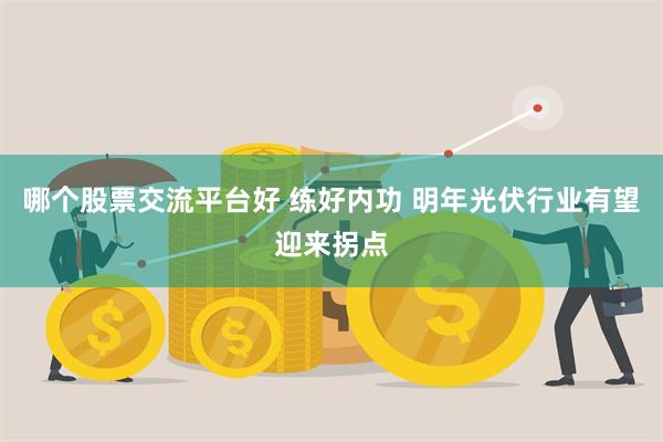 哪个股票交流平台好 练好内功 明年光伏行业有望迎来拐点